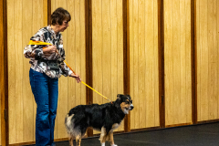 10-22-23-ScentWork-1001