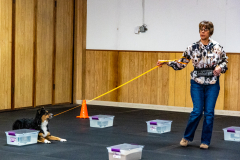 10-22-23-ScentWork-1003