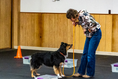 10-22-23-ScentWork-1004