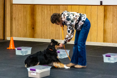 10-22-23-ScentWork-1005