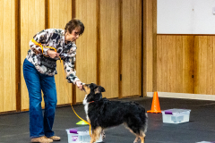 10-22-23-ScentWork-1008