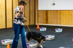 10-22-23-ScentWork-1009