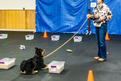 10-22-23-ScentWork-1010