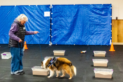 10-22-23-ScentWork-1021