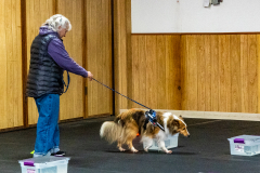 10-22-23-ScentWork-1026