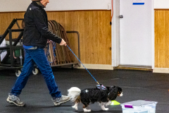 10-22-23-ScentWork-1033