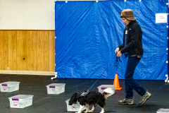 10-22-23-ScentWork-1038