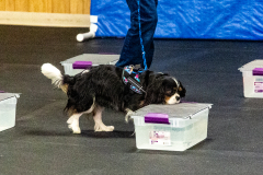 10-22-23-ScentWork-1048