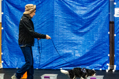 10-22-23-ScentWork-1053