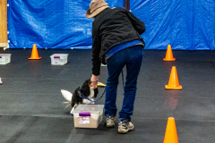 10-22-23-ScentWork-1060