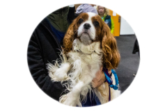 10-22-23-ScentWork-1084