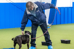 10-22-23-ScentWork-1100