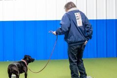 10-22-23-ScentWork-1102
