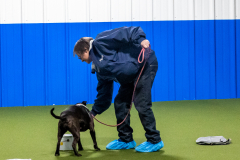 10-22-23-ScentWork-1103