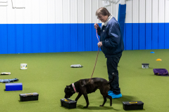 10-22-23-ScentWork-1108