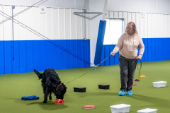 10-22-23-ScentWork-1117