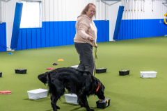 10-22-23-ScentWork-1118