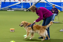 10-22-23-ScentWork-1127