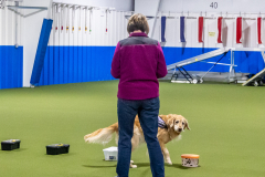 10-22-23-ScentWork-1128