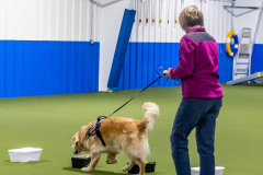 10-22-23-ScentWork-1130