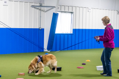 10-22-23-ScentWork-1131