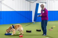 10-22-23-ScentWork-1132