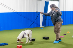 10-22-23-ScentWork-1140