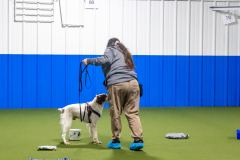 10-22-23-ScentWork-1147
