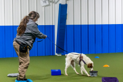 10-22-23-ScentWork-1148