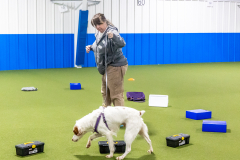 10-22-23-ScentWork-1151