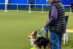 10-22-23-ScentWork-1167