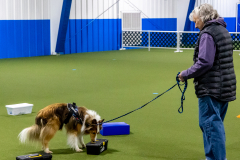 10-22-23-ScentWork-1168