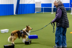 10-22-23-ScentWork-1169
