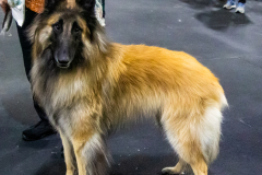 10-22-23-ScentWork-1172