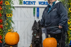 10-22-23-ScentWork-1188