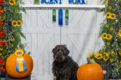 10-22-23-ScentWork-1200