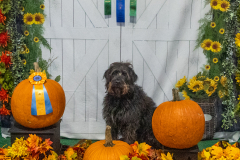 10-22-23-ScentWork-1201