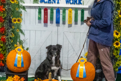 10-22-23-ScentWork-1205