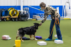 10-22-23-ScentWork-1220