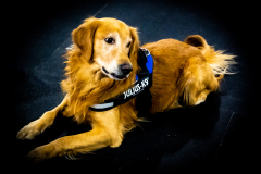 10-22-23-ScentWork-1230
