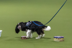 10-22-23-ScentWork-1234