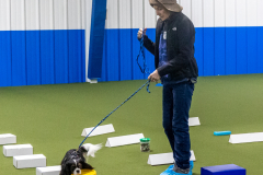 10-22-23-ScentWork-1248