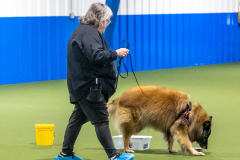 10-22-23-ScentWork-1264
