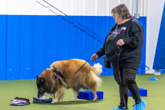 10-22-23-ScentWork-1266