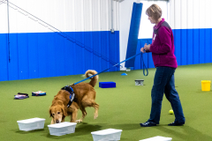 10-22-23-ScentWork-1277