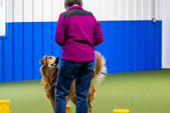 10-22-23-ScentWork-1285