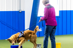 10-22-23-ScentWork-1286