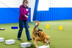 10-22-23-ScentWork-1288
