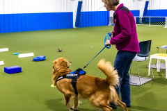 10-22-23-ScentWork-1291