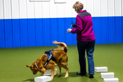 10-22-23-ScentWork-1293